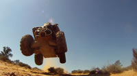 Safari 2010